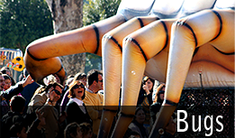 Novedad