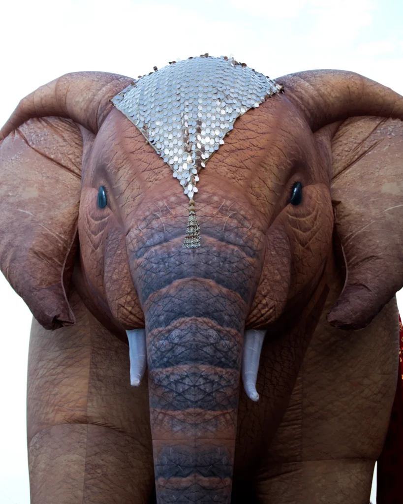 Brotóns india elefante marron disfraz cabalgata